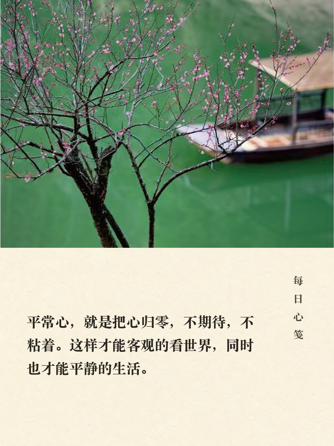 梅枝与远处小舟